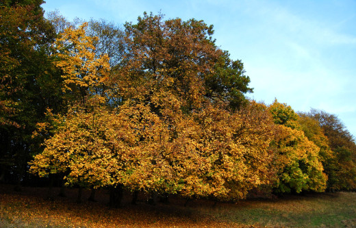 682878 (a): :2000x1280